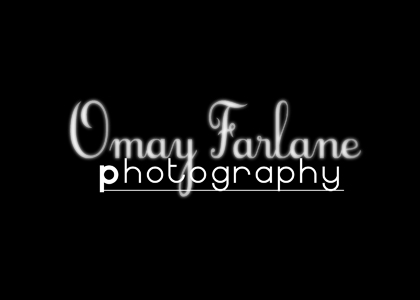 View My Galleries